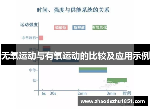 无氧运动与有氧运动的比较及应用示例