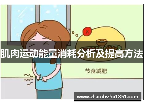 肌肉运动能量消耗分析及提高方法