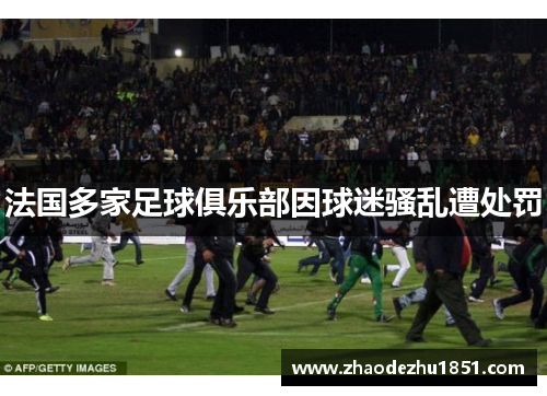 法国多家足球俱乐部因球迷骚乱遭处罚